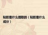 粘胶是什么提取的（粘胶是什么成分）