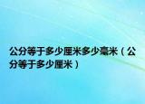 公分等于多少厘米多少毫米（公分等于多少厘米）