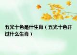 五光十色是什生肖（五光十色开过什么生肖）