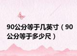 90公分等于几英寸（90公分等于多少尺）