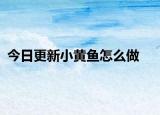 今日更新小黄鱼怎么做