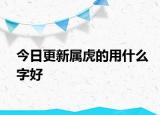今日更新属虎的用什么字好