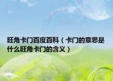 旺角卡门百度百科（卡门的意思是什么旺角卡门的含义）