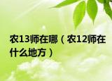 农13师在哪（农12师在什么地方）