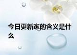 今日更新家的含义是什么