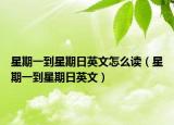 星期一到星期日英文怎么读（星期一到星期日英文）