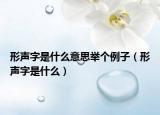 形声字是什么意思举个例子（形声字是什么）