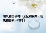 明矾和白矾有什么区别视频（明矾和白矾一样吗）