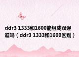 ddr3 1333和1600能组成双通道吗（ddr3 1333和1600区别）