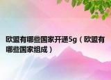 欧盟有哪些国家开通5g（欧盟有哪些国家组成）