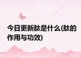 今日更新肽是什么(肽的作用与功效)