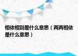 相依相别是什么意思（两两相依是什么意思）