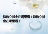 微信立减金在哪里看（微信立减金在哪里看）