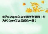 华为p20pro怎么关闭所有页面（华为P20pro怎么关闭负一屏）