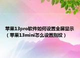 苹果13pro软件如何设置全屏显示（苹果13mini怎么设置指纹）
