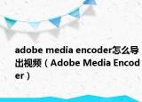 adobe media encoder怎么导出视频（Adobe Media Encoder）