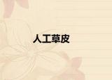 人工草皮
