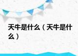天牛是什么（天牛是什么）