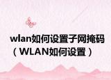 wlan如何设置子网掩码（WLAN如何设置）