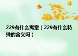 229有什么寓意（229有什么特殊的含义吗）