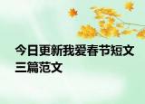 今日更新我爱春节短文三篇范文