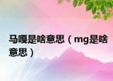 马嘎是啥意思（mg是啥意思）