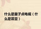 什么是量子点电视（什么是芸豆）