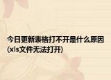 今日更新表格打不开是什么原因(xls文件无法打开)