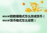 excel的数据格式怎么改成货币（excel货币格式怎么设置）