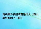 青山郭外斜的读音是什么（青山郭外斜的上一句）