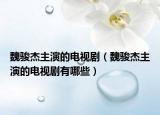 魏骏杰主演的电视剧（魏骏杰主演的电视剧有哪些）