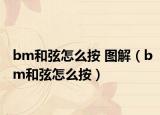 bm和弦怎么按 图解（bm和弦怎么按）