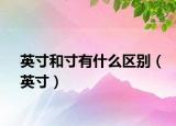 英寸和寸有什么区别（英寸）