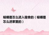 蟑螂是怎么进入宿舍的（蟑螂是怎么进家里的）