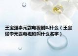 王宝强李元霸电视剧叫什么（王宝强李元霸电视剧叫什么名字）