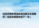 沧海月明珠有泪蓝田日暖玉生烟翻译（沧海月明珠有泪下一句）