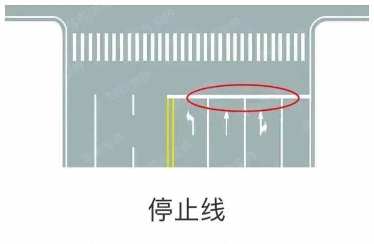 关于“停和让”的标志标线，您了解多少？