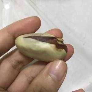 菠萝蜜的核（好吃不浪费，减肥）的做法 步骤2