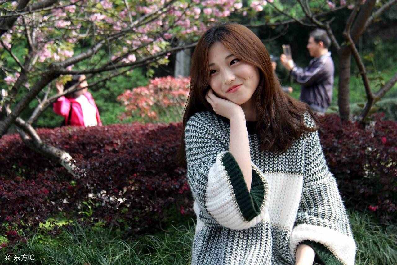 向阳花木易为春