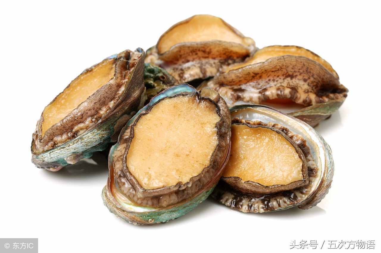 鳄鱼不是鱼，鲸鱼也不是鱼，鲨鱼是鱼吗？