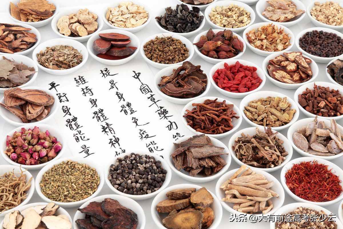 2020年高考：中医学类专业全息解读