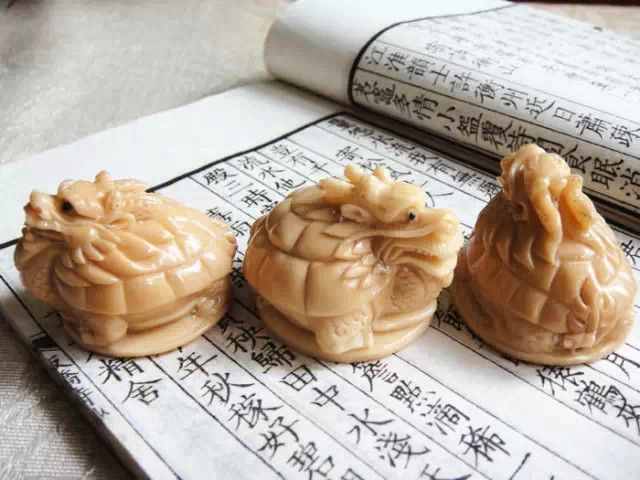 象牙果到底是什么东西？和象牙是一回事吗？