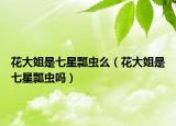 花大姐是七星瓢虫么（花大姐是七星瓢虫吗）