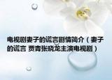 电视剧妻子的谎言剧情简介（妻子的谎言 贾青张晓龙主演电视剧）