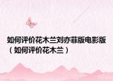 如何评价花木兰刘亦菲版电影版（如何评价花木兰）