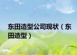 东田造型公司现状（东田造型）