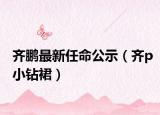 齐鹏最新任命公示（齐p小钻裙）