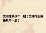 美洲杯多少年一届（美洲杯到底是几年一届）