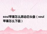 soul苹果怎么弄动态头像（soul苹果怎么下载）