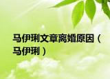 马伊琍文章离婚原因（马伊琍）